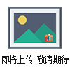 ZH65-III休閑食品膨化機